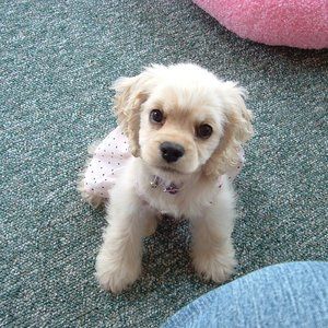 Meet your Posher, Cathy